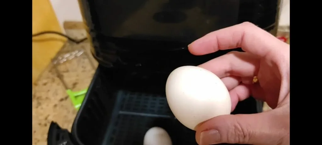 EMPANADA Y COCER HUEVOS.FREIDORA DE AIRE