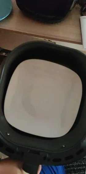 Foto de un plato dentro de la cubeta
